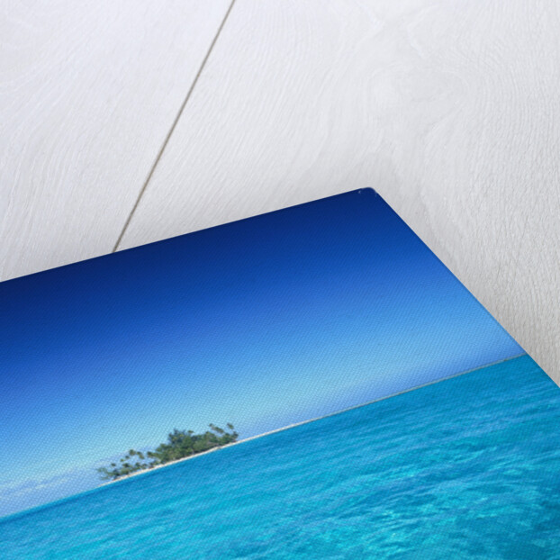 Sparkling Ocean and Tropical Island by Anonymous