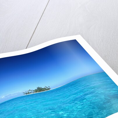 Sparkling Ocean and Tropical Island by Anonymous