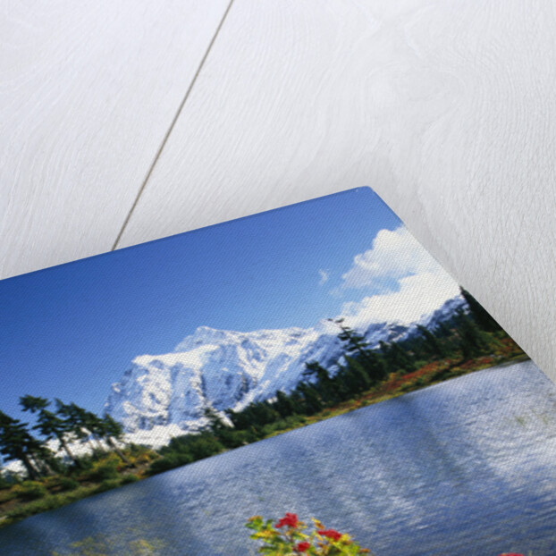 Flowers Growing at Edge of Mountain Lake by Anonymous