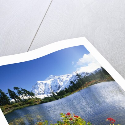 Flowers Growing at Edge of Mountain Lake by Anonymous