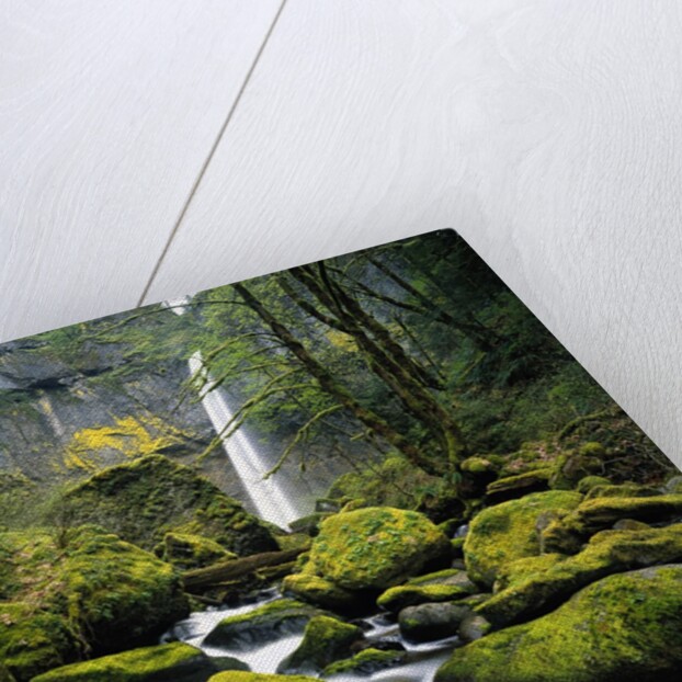 Stream Flowing over Mossy Rocks by Anonymous