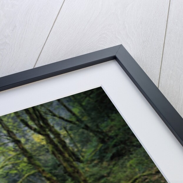 Stream Flowing over Mossy Rocks by Anonymous