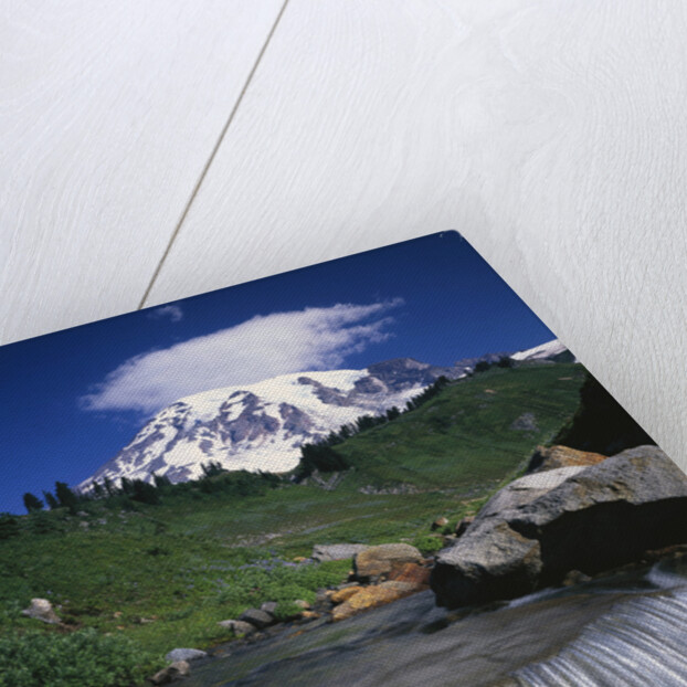 Mt. Rainier Rising above Valley by Anonymous