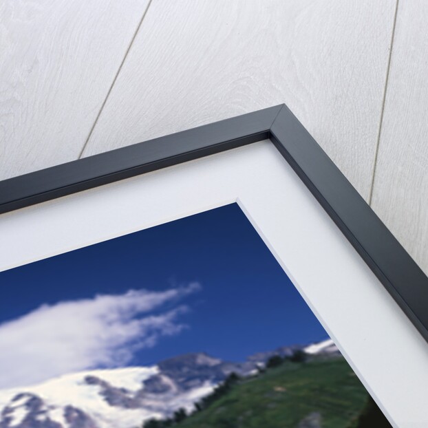 Mt. Rainier Rising above Valley by Anonymous