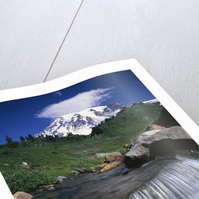 Mt. Rainier Rising above Valley by Anonymous