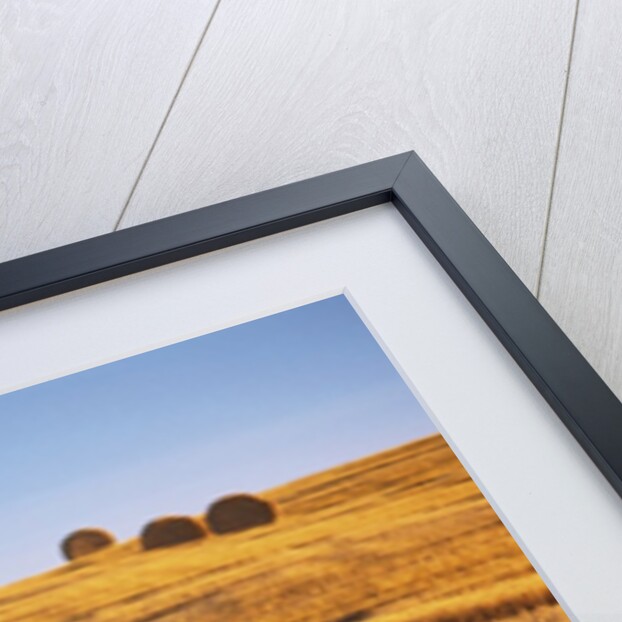 Harvested Fields of Hay by Anonymous