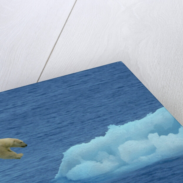 Polar Bear Jumping Ice Floes by Anonymous