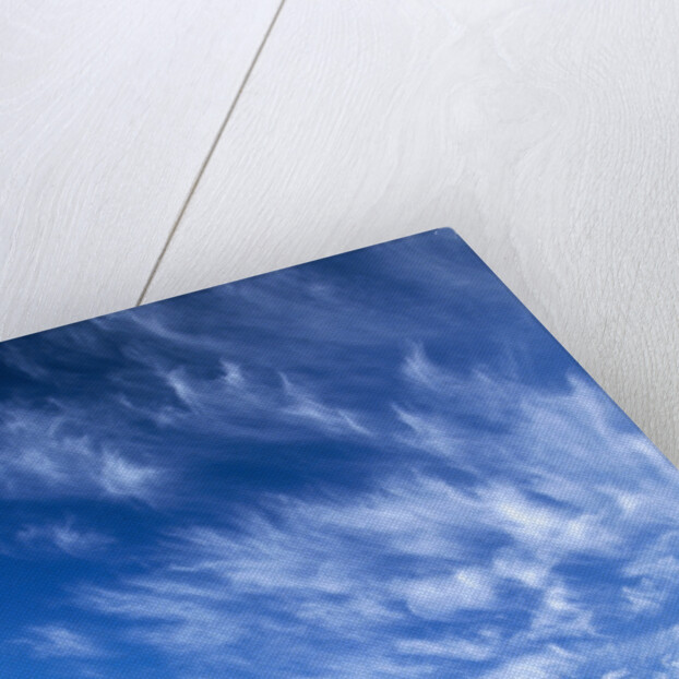 Wispy Clouds Swirling over Wheat Field by Anonymous