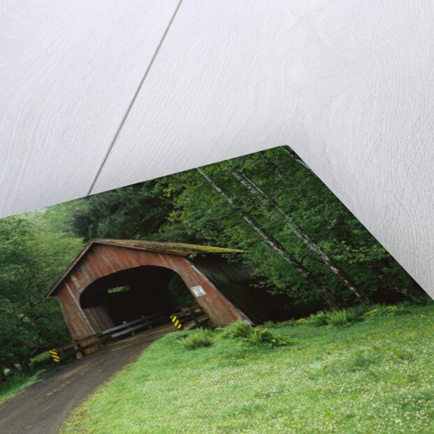 Covered Bridge near Coast by Anonymous