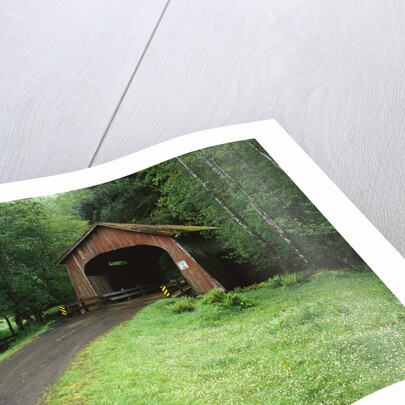 Covered Bridge near Coast by Anonymous