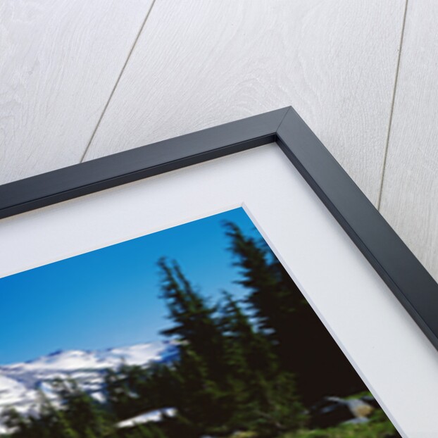 Winding Creek Below Snow-Capped Mountain by Anonymous