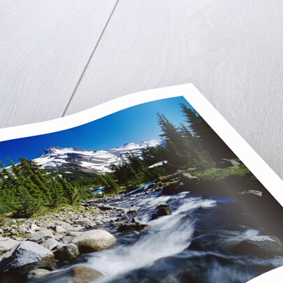 Winding Creek Below Snow-Capped Mountain by Anonymous