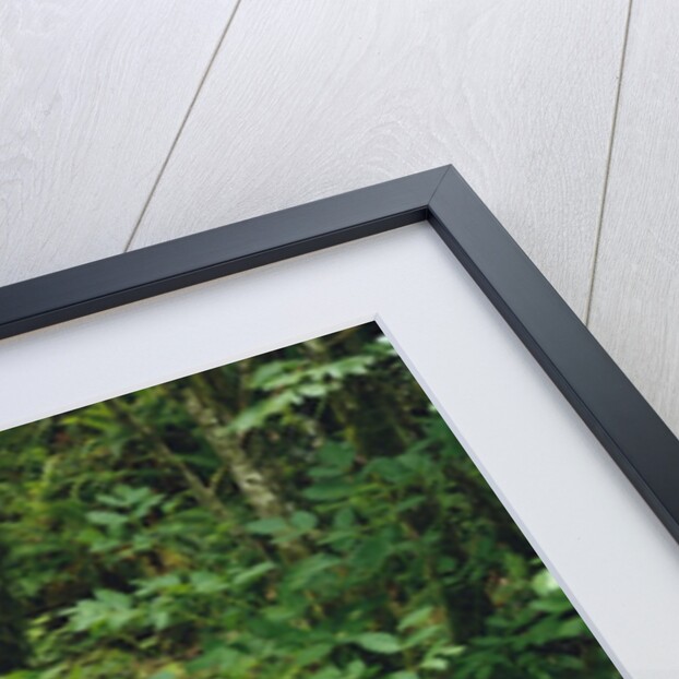 Waterfall in Lush Forest by Anonymous