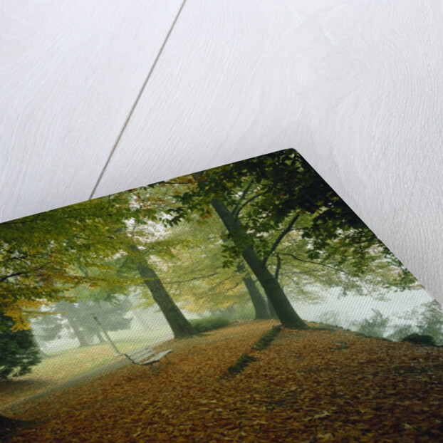 Quiet Park in Autumn by Anonymous