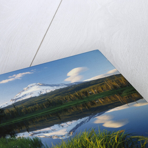 Mount Hood Reflected in Beaver Pond by Anonymous