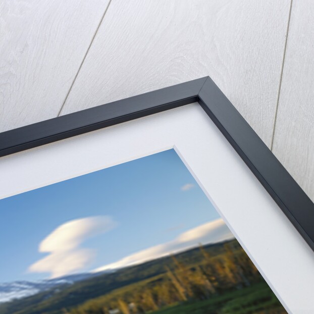 Mount Hood Reflected in Beaver Pond by Anonymous