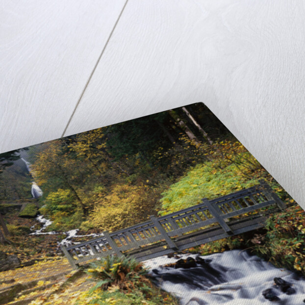 Wooden Bridge along Wahkeena Falls by Anonymous
