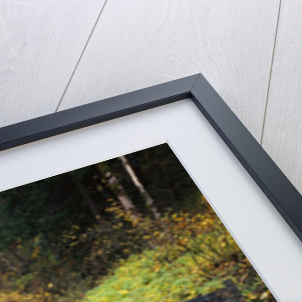 Wooden Bridge along Wahkeena Falls by Anonymous