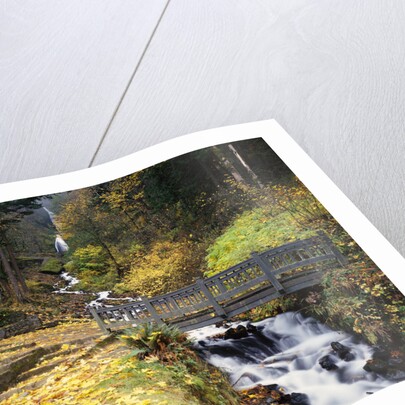 Wooden Bridge along Wahkeena Falls by Anonymous