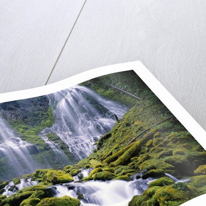 Water Cascading Down Proxy Falls by Anonymous