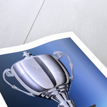 Shiny Trophy by Anonymous