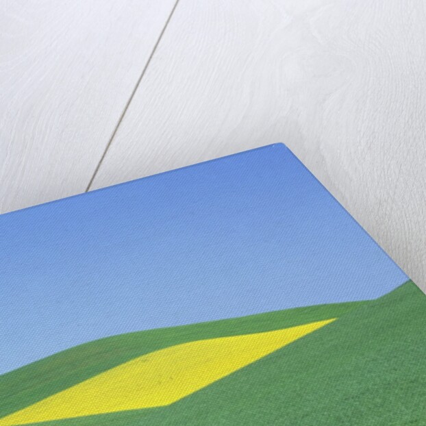 Palouse Hills in Growing Season by Anonymous