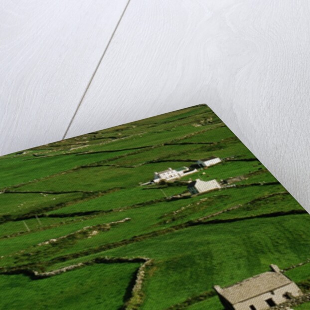 Abandoned Farmhouse in the Irish Countryside by Anonymous