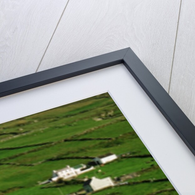Abandoned Farmhouse in the Irish Countryside by Anonymous