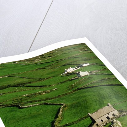 Abandoned Farmhouse in the Irish Countryside by Anonymous