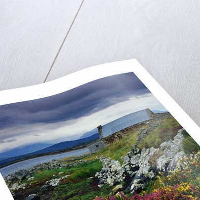 Flowers Along Carna Bay by Anonymous