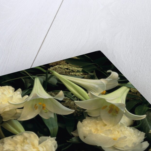 Easter Lilies and White Peonies by Anonymous