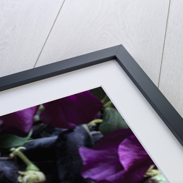 Pea Pods by Anonymous