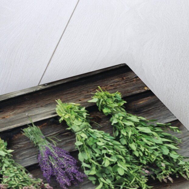 Herbs Drying Upside Down by Anonymous