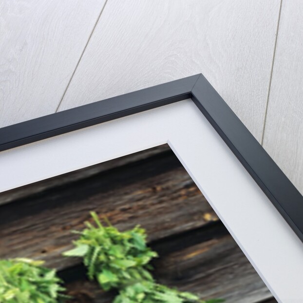 Herbs Drying Upside Down by Anonymous