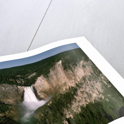 Lower Falls in Yellowstone National Park by Anonymous