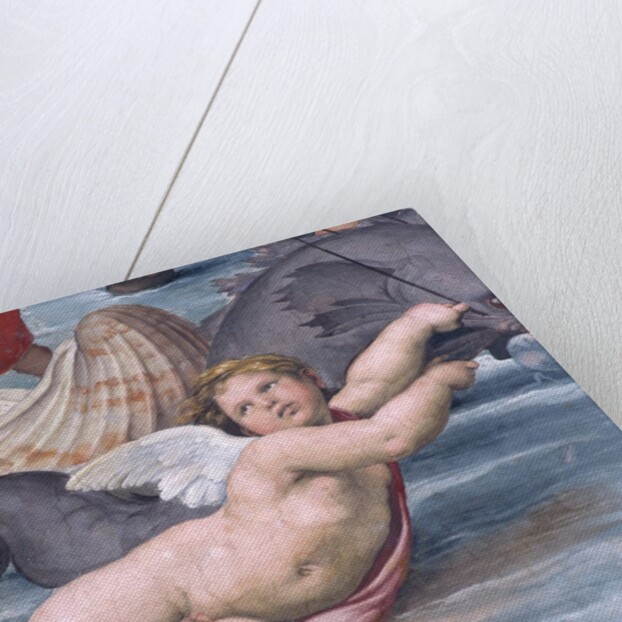 Detail of Cupid from Galatea by Raphael