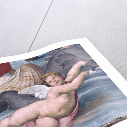 Detail of Cupid from Galatea by Raphael