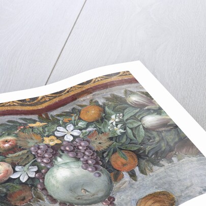 Detail of Fruits and Decorative Border from the Loggia of Cupid and Psyche by Raphael and His Workshop