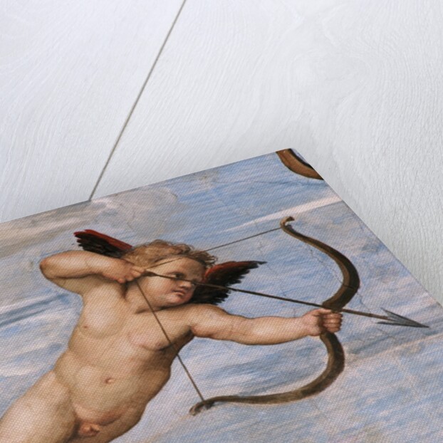 Detail of Cupid from Galatea by Raphael