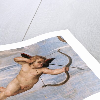 Detail of Cupid from Galatea by Raphael