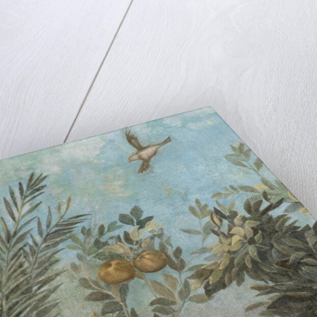 Detail Showing Scene from Roman Fresco of Tree with Birds by Anonymous