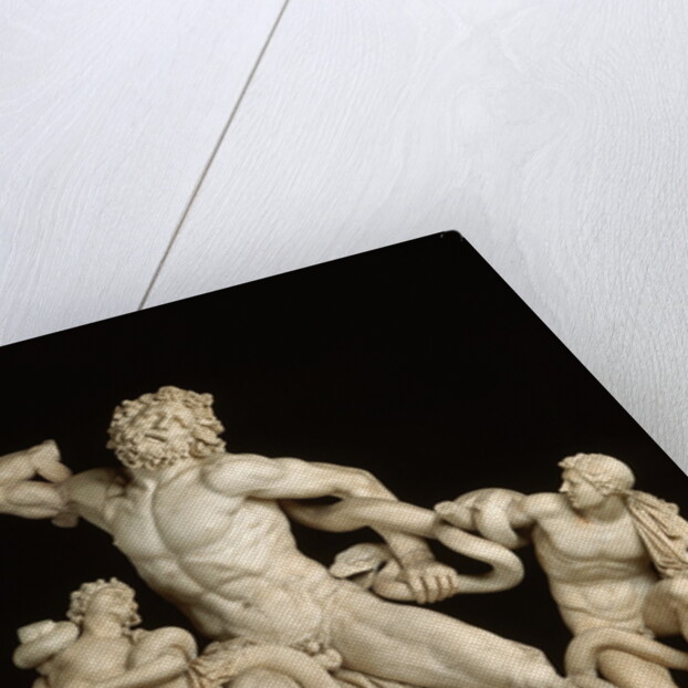The Laocoon Group by Anonymous