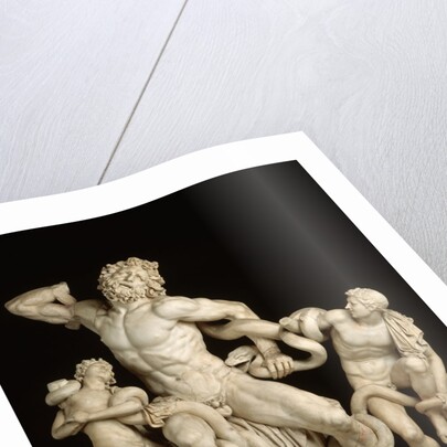 The Laocoon Group by Anonymous