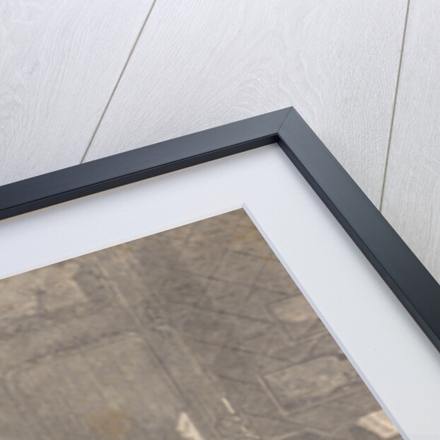 Jean Jacques Rousseau and Therese le Vasseur by Anonymous