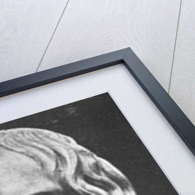 Sculpture of Augustus by Anonymous