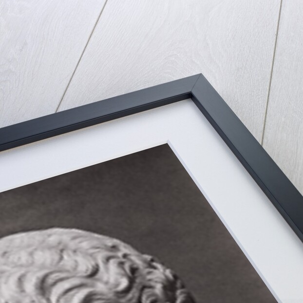 Profile of Hadrian Bust by Anonymous