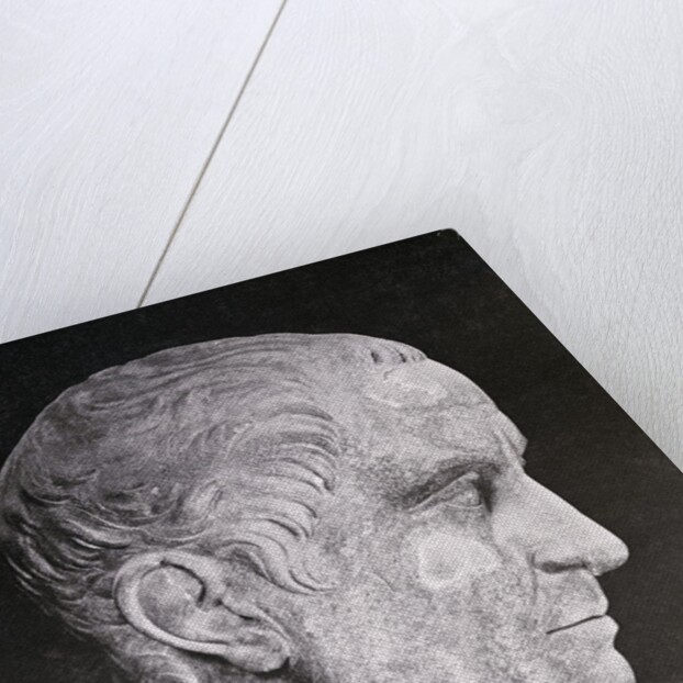 Bust of Julius Caesar by Anonymous