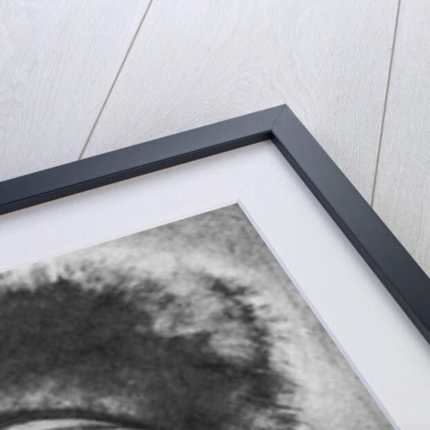 Portrait of Jean-Etienne Liotard by Anonymous