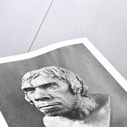 Bust of Prehistoric Man by Anonymous