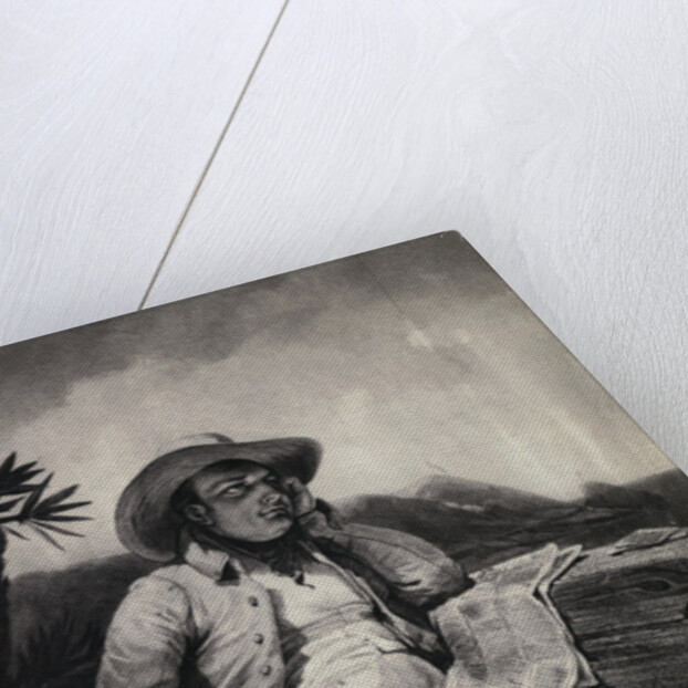 Napoleon Resting on St. Helena by Anonymous